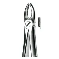 Forceps Carl Martin E1