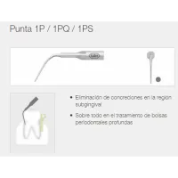 INSERT 1P CON LLAVE