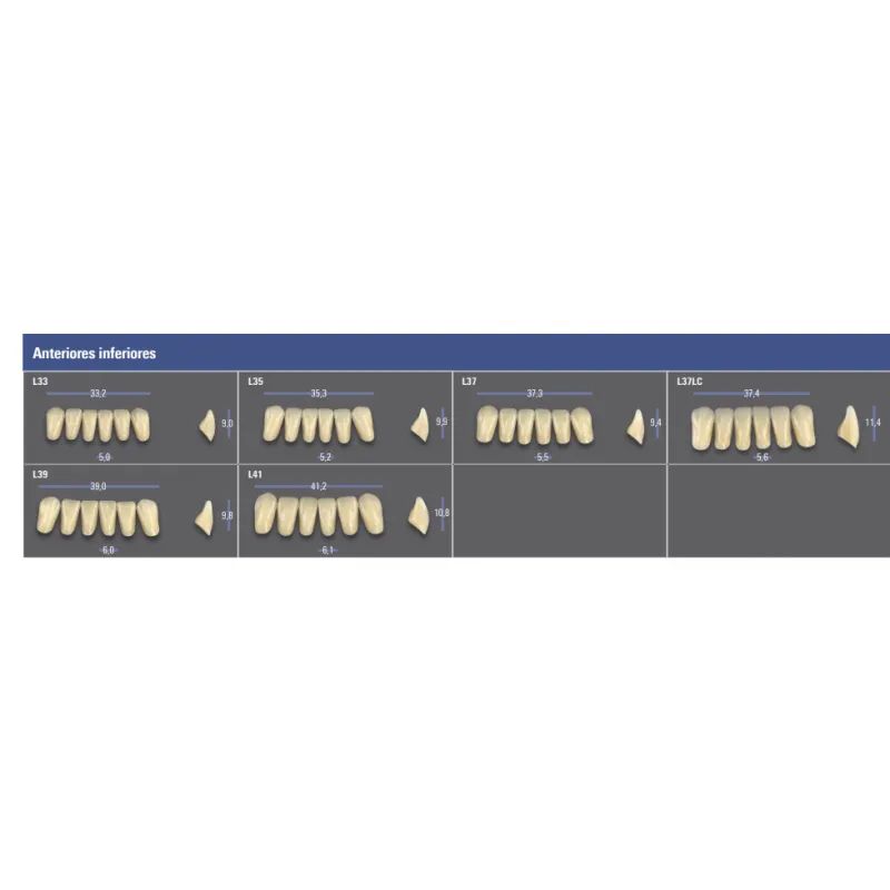 REPOSICION DIENTES VITA MFT INFERIOR ANTERIOR 5M1 - L34