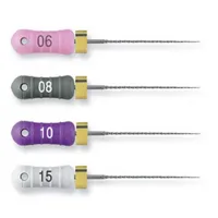 LIMAS ENDODONCIA C+FILE MAILLEFER - 21mm Nº  10