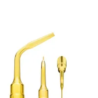 INSERT MECTRON PIEZOSURGERY EX1