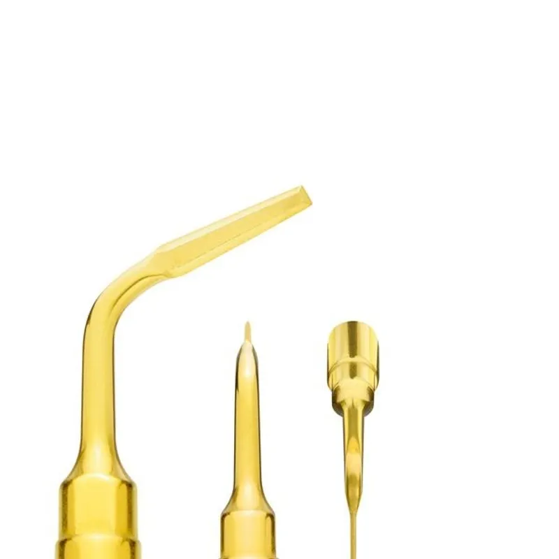 INSERT MECTRON PIEZOSURGERY EX1