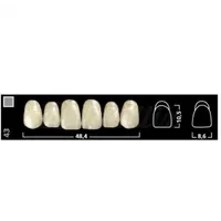 DIENTES IVOSTAR CHR ANTERIOR SUPERIOR