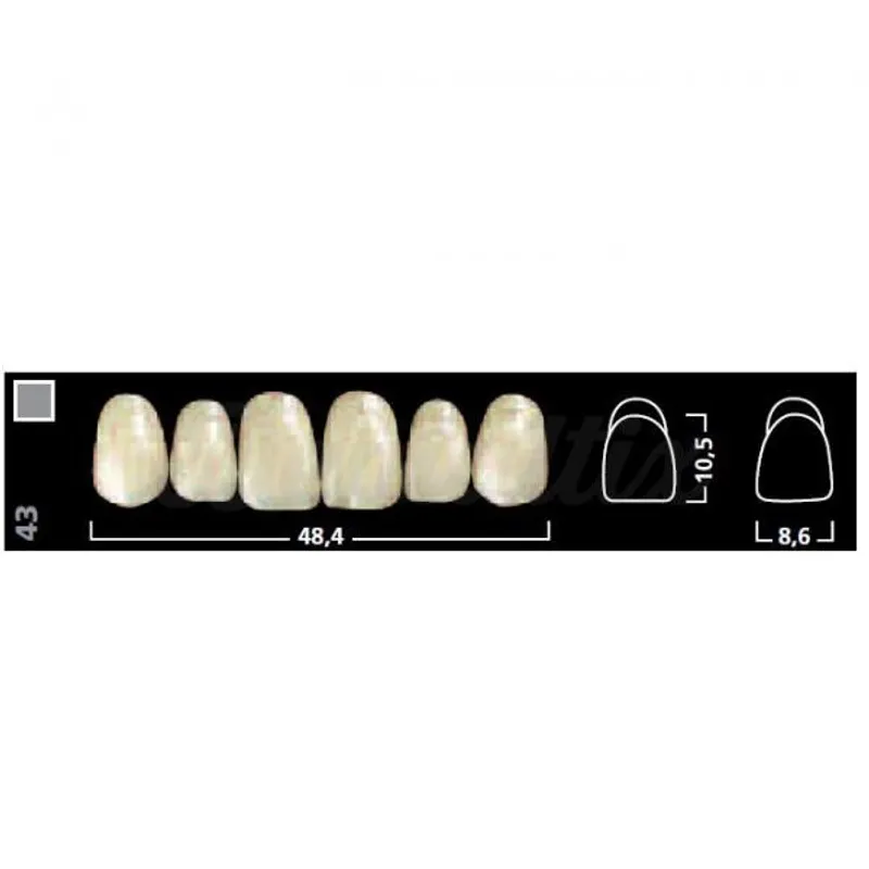 DIENTES IVOSTAR CHR ANTERIOR SUPERIOR