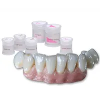 IPS E.MAX CERAM INTENSIVO GINGIVA 20 GR