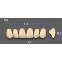 REPOSICION DIENTES VITA MFT SUPERIOR ANTERIOR 1M1 R45