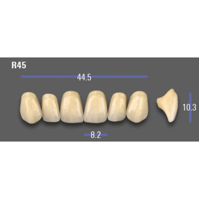 REPOSICION DIENTES VITA MFT SUPERIOR ANTERIOR 1M1 R45