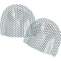 REFUERZO DE PALADAR DENTAURUM PLATEADOS 10UDS