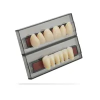 DIENTES SR VIVODENT CHROMASCOP ANTERIOR INFERIOR 