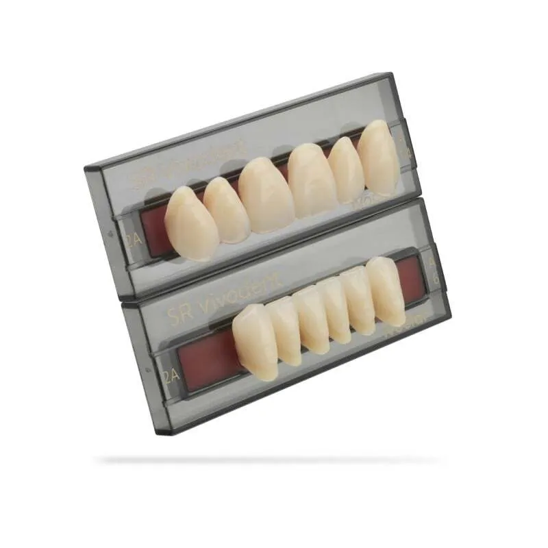 DIENTES SR VIVODENT CHROMASCOP ANTERIOR INFERIOR 
