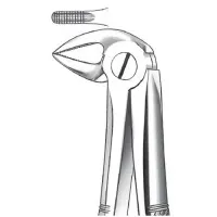 Forceps Carl Martin nº33 Raices inferiores