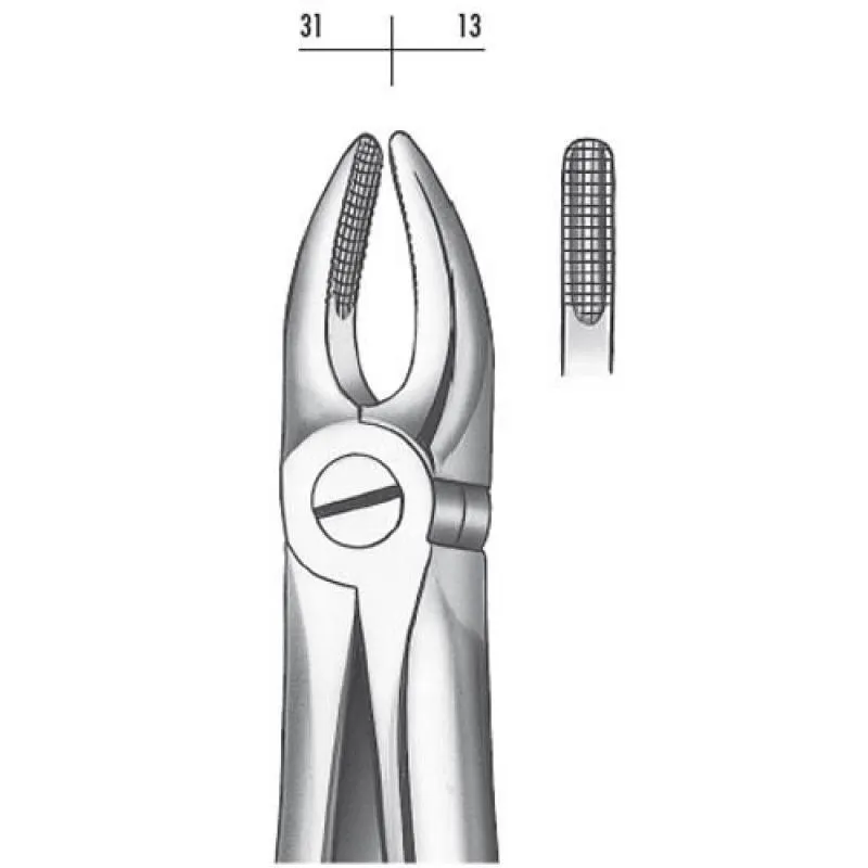 E1 FORCEPS Nº1 INCISIVO Y CANINO SUPERIOR