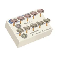 FRESERO KOMET 4669 KIT INTRO RUEDAS DE PULIDO 10UDS
