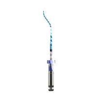 LIMAS NITI HYFLEX EDM 05 - Nº10 - 21MM