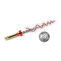 LIMAS PROTAPER NEXT NITI ESTÉRILES - X5 21MM (AMARILLAS)