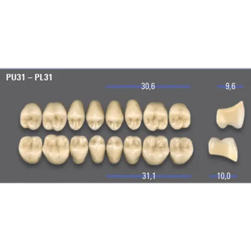 REPOSICION DIENTES VITA MFT SUPERIOR ANTERIOR C3 - S50