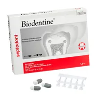 CEMENTO BIODENTINE 