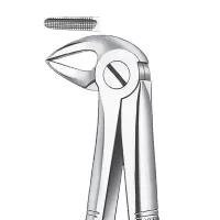 FORCEPS RAICES INFERIORES N33A