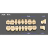 REPOSICION DIENTES VITA MFT INFERIOR POSTERIOR 3L15 - PL29