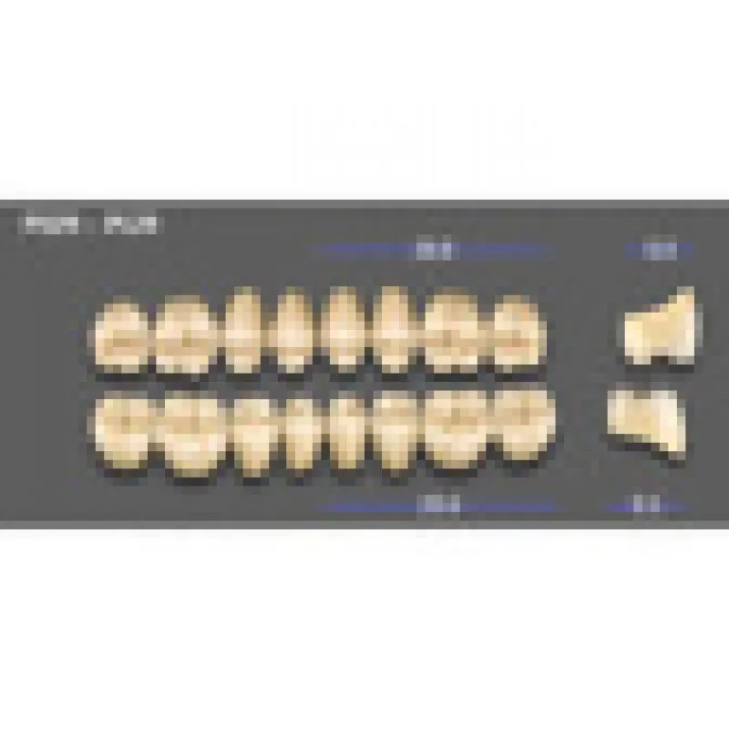 REPOSICION DIENTES VITA MFT INFERIOR POSTERIOR 3L15 - PL29