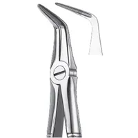 FÓRCEPS RAÍCES INFERIORES FIG. 145