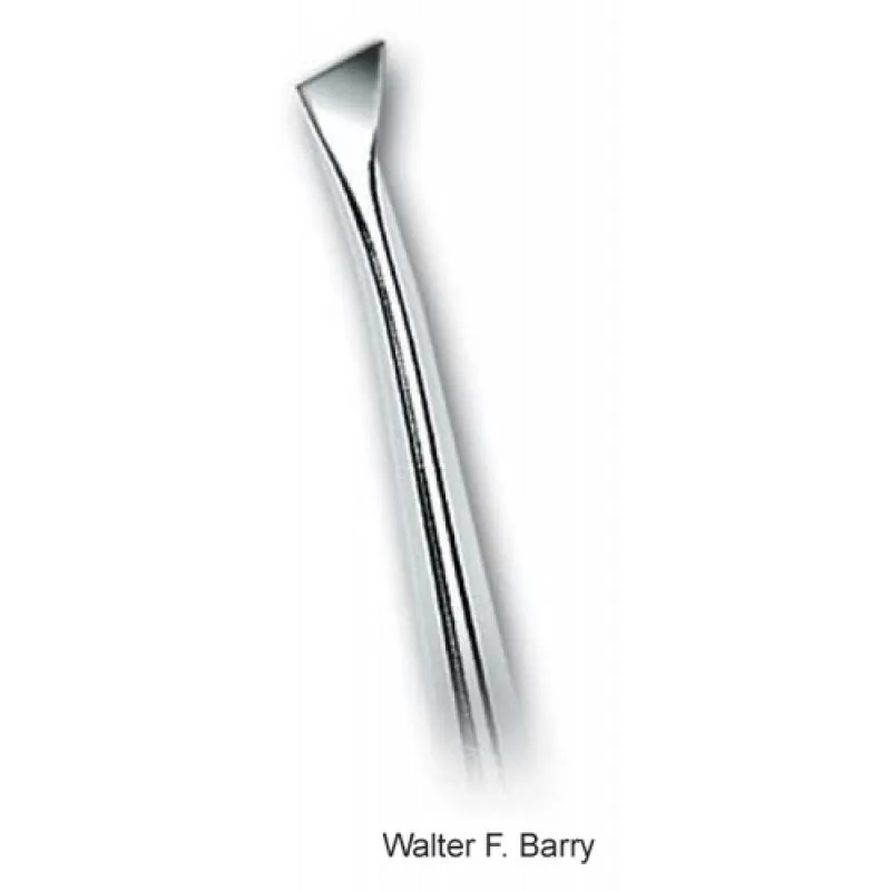 ELEVADOR WALTER BARRY 