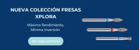 Fresas Xplora